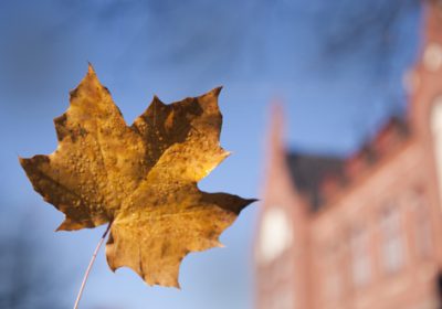 Syksyinen vaahteran lehti ja taustalla Lahden yhteiskoulun vanhakoulurakennus nimeltä Museo.