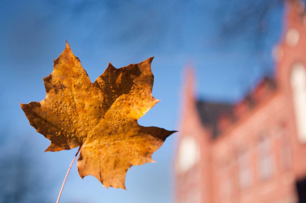 Syksyinen vaahteran lehti ja taustalla Lahden yhteiskoulun vanhakoulurakennus nimeltä Museo.