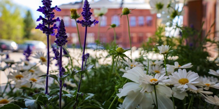 TUVA-koulutuksen opas lv. 2022-23(tutkintokoulutukseen valmentava koulutus)