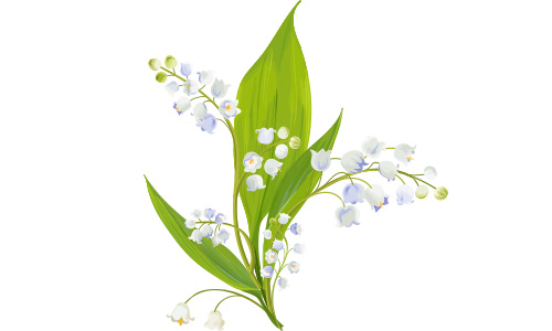 Aikuisten perusopetuksen ja TUVA-koulutuksen opiskelijoiden kevätjuhla pe 31.5.2024 klo 16.00