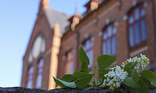 Lahden yhteiskoulun lukioon hyväksytyt opiskelijat 2025